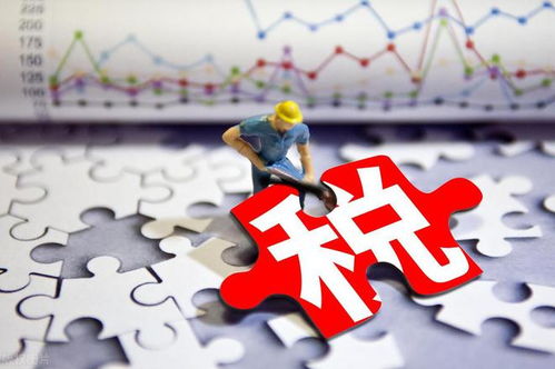 以稅收賦能市場(chǎng)主體 以服務(wù)激活經(jīng)濟(jì)脈動(dòng)——新時(shí)代社會(huì)經(jīng)濟(jì)咨詢(xún)服務(wù)的實(shí)踐路徑