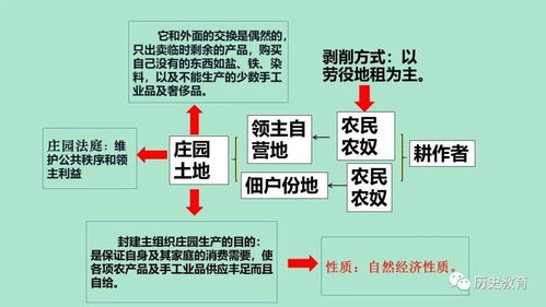 西歐經(jīng)濟(jì)與社會(huì)發(fā)展 社會(huì)經(jīng)濟(jì)咨詢(xún)服務(wù)的角色與演變